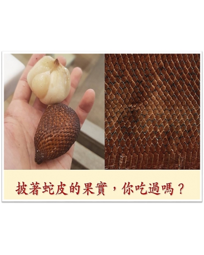 披著蛇皮的果實