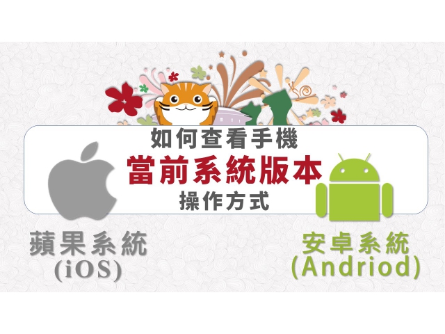 如何查看手機:當前系統版本